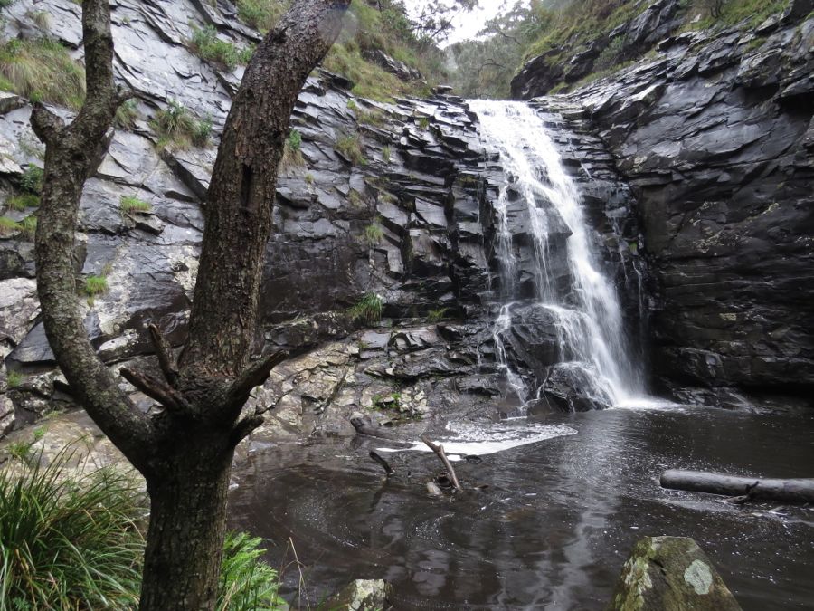 Dvacetimetrové Sheoak Falls, Otway Ranges.