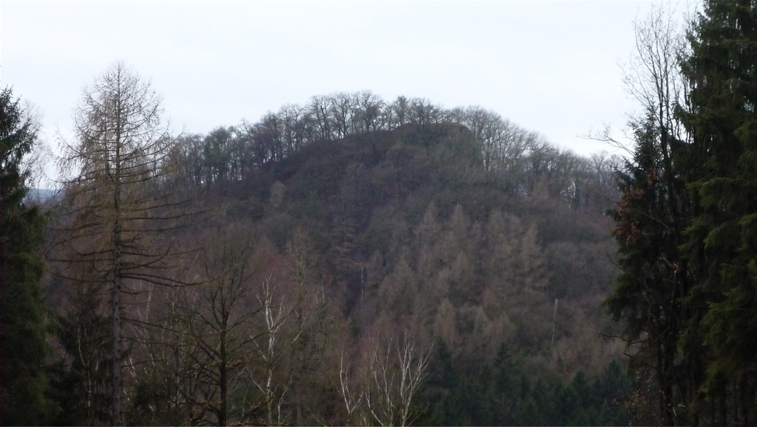Litýš (486 m), hrádek pod západním úbočím Sedla.