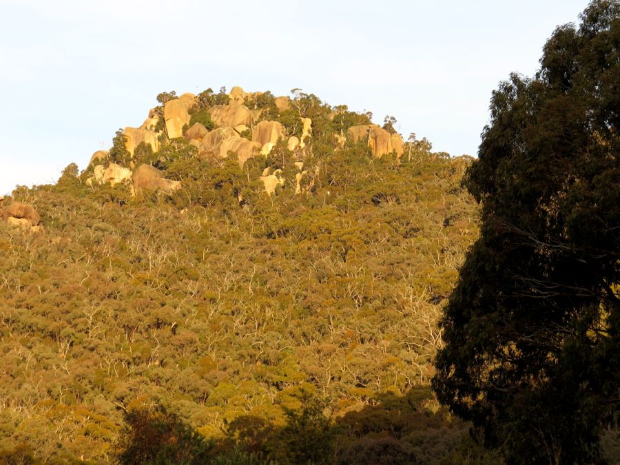 Gibraltar Peak (1038 m), Australian Capital Territory.