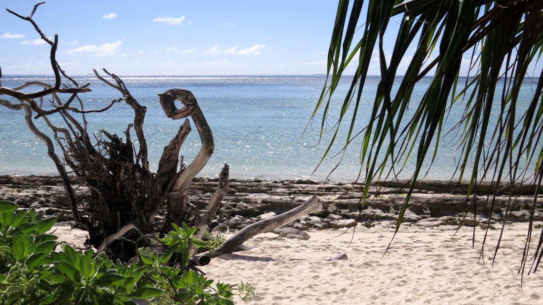 Heron Island, Queensland.
