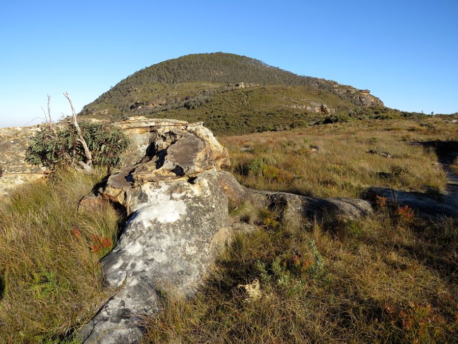 Mount Banks (1049 m), Blue Mountains, New South Wales.