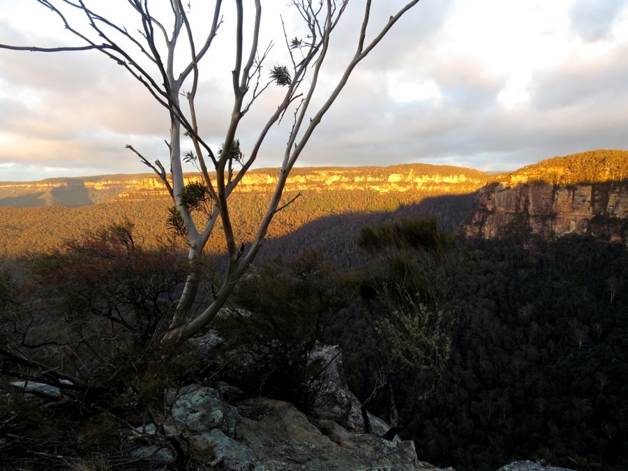 Narrowneck Plateau v prvních slunečních paprscích.