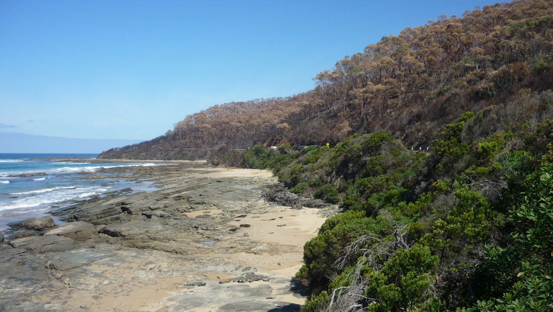 Požárem poznamenané pobřeží poblíž Wye River.