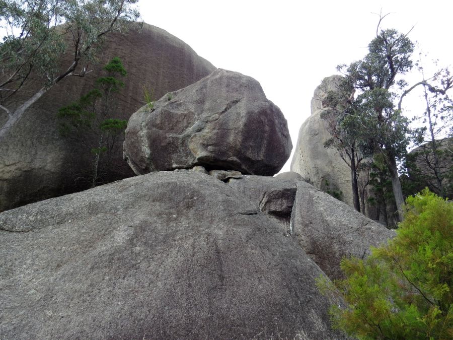 Girraween je národní park v jižním Queenslandu, u hranic s NSW.