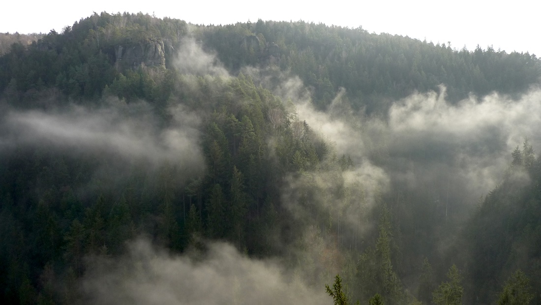 Jarní den 6. 1. Léta Páně 2018 nad Vlčí soutěskou.