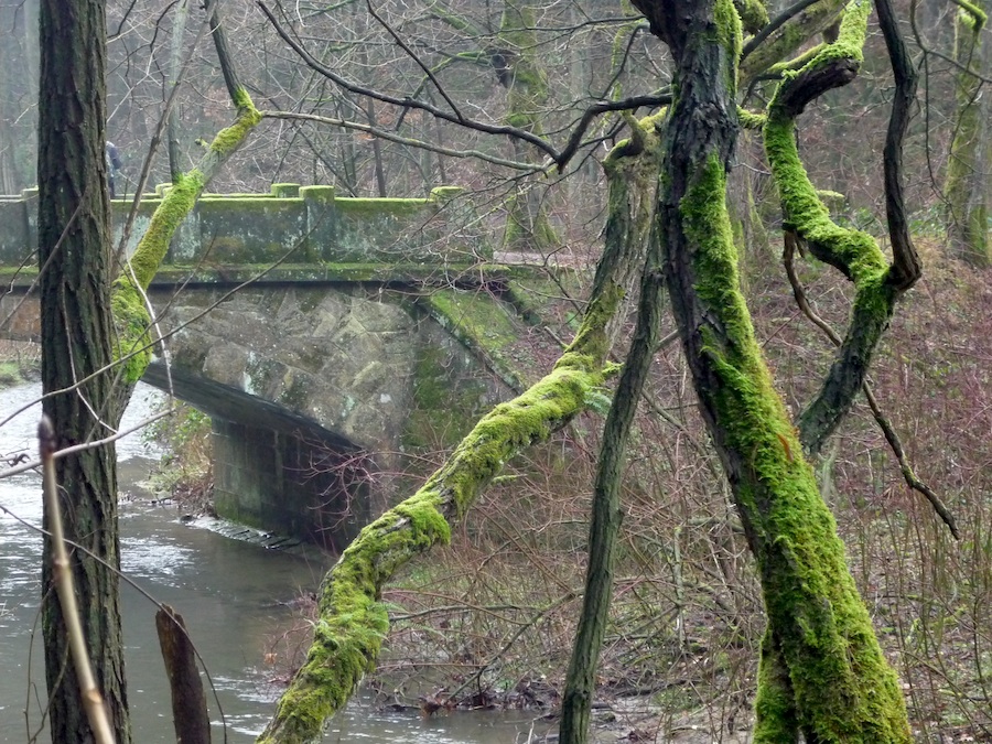 Mechem obrostlý můstek u Waltersdorfer Mühle.