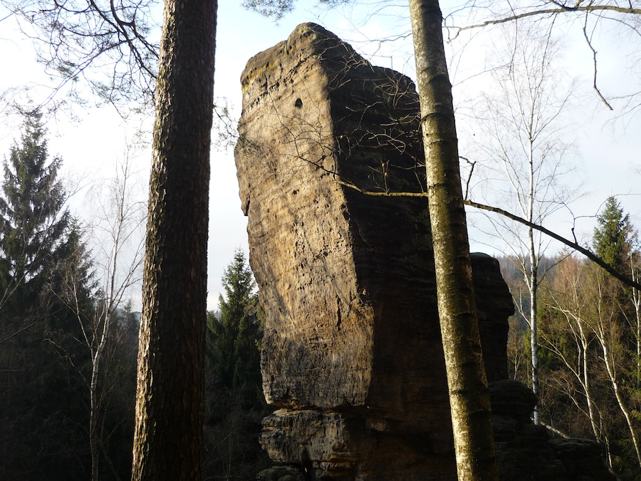 Nymphe, Bielatal.