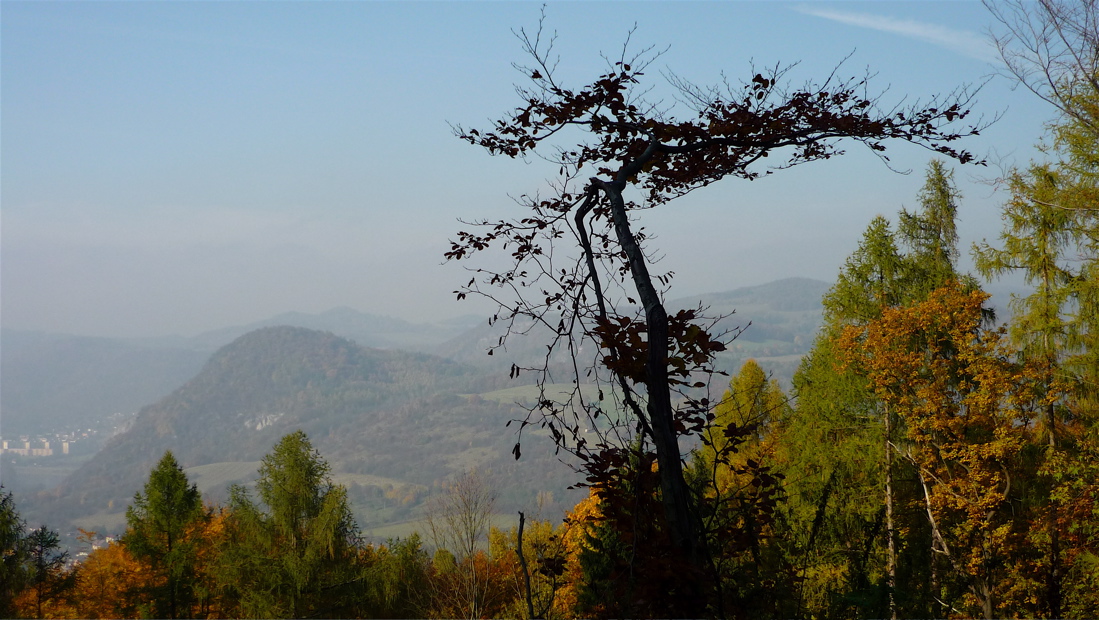 Kozí vrch na druhé straně Labe.