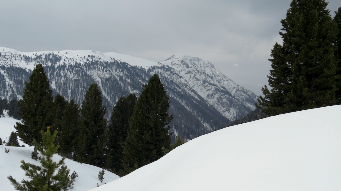 Dos dai Branchi a Monte Cornon (2189 m) nad Pampeagem.
