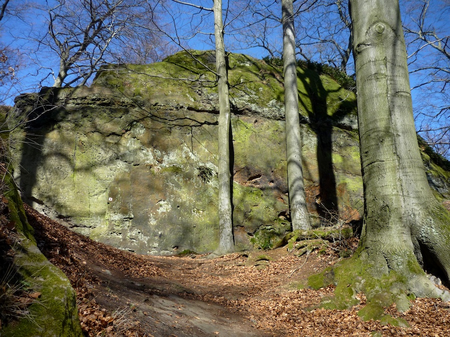 Děvín, zřícenina hradu rodu Markvarticů z r. 1250.