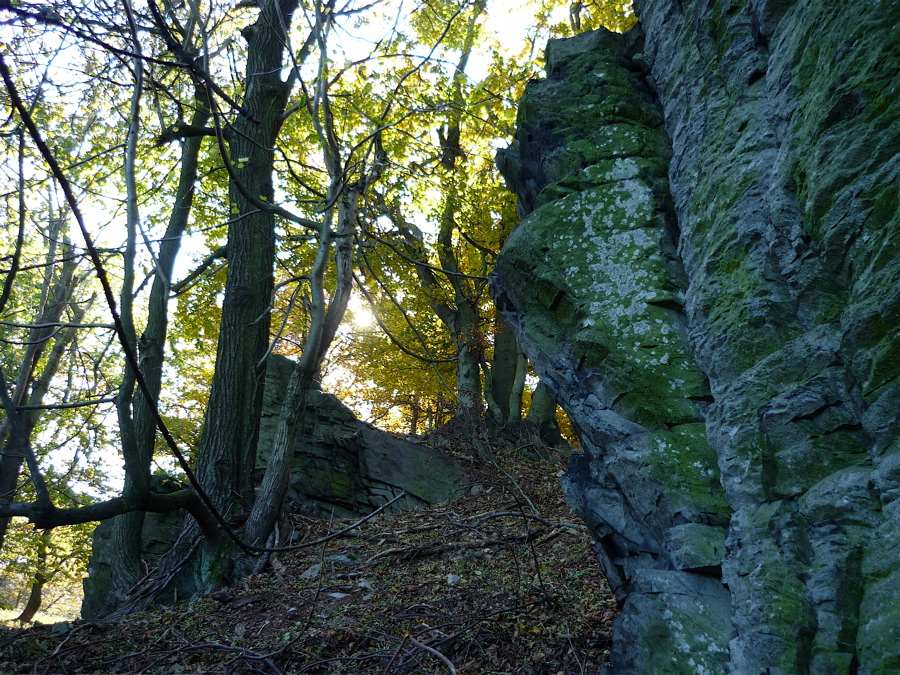 sedlo18