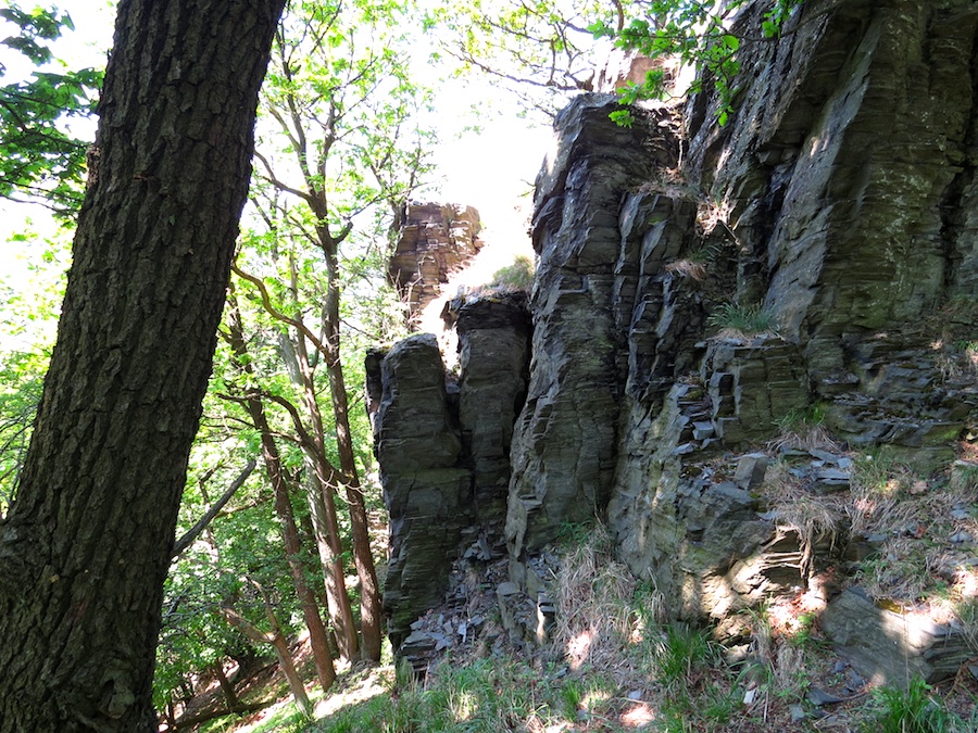 se1816