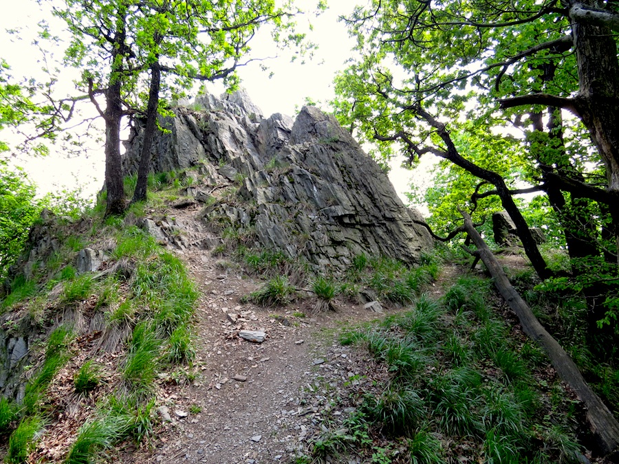 Pokračuji po hřebínku.