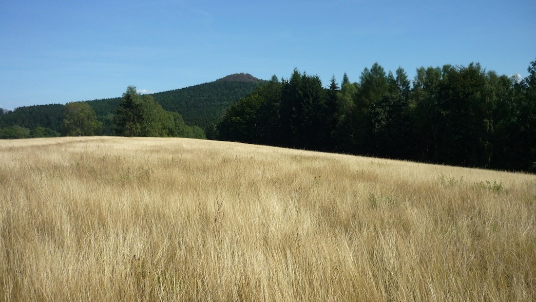 Na obzoru Vlčí hora (581 m).