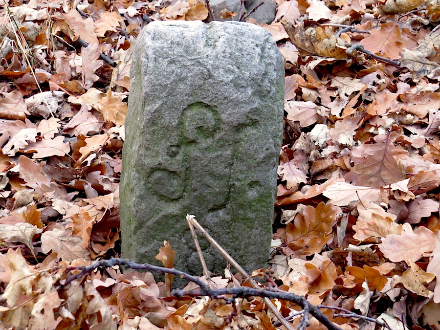 Jeden z asi tří kamenů na vrcholovém hřebínku Deblíku.