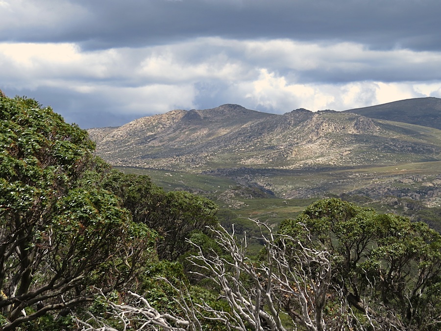 Etheridge Ridge a Mt Kosciuszko.