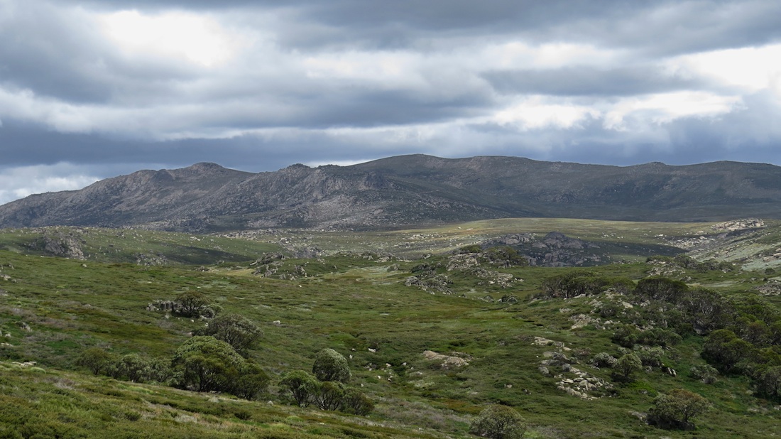 Znovu Mt Kosciuszko.