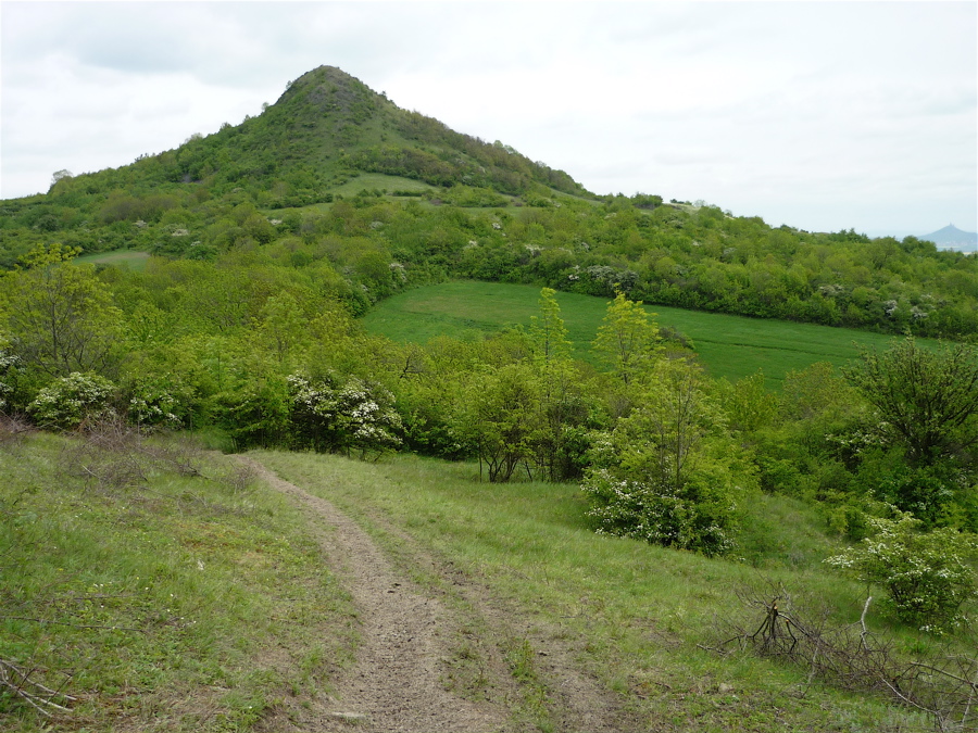 Srdov (482 m)