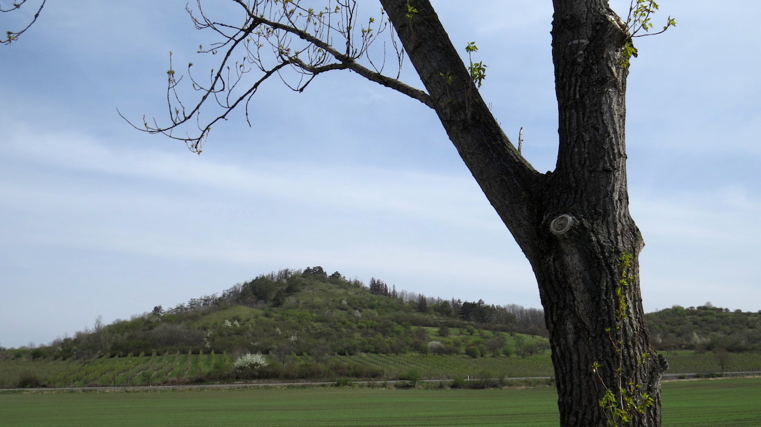 Kvítel a Švestková dráha Lovosice-Most v popředí.