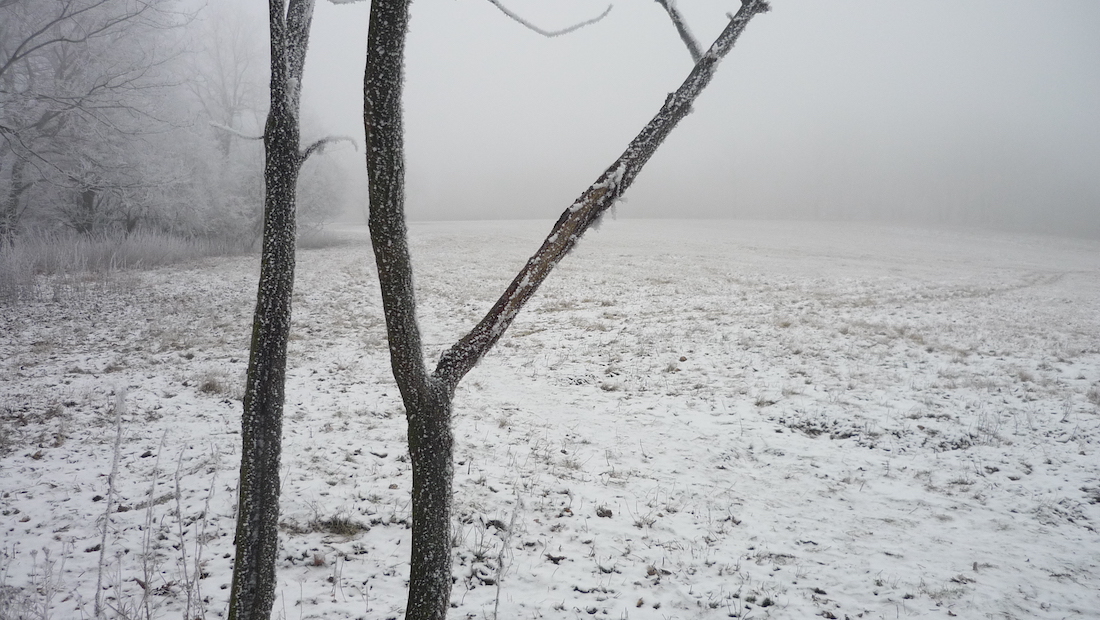 Hradišťany 28. 12. 2020.