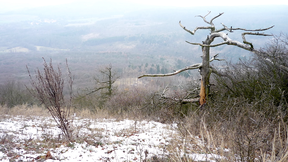 Na vrcholu Solanské hory (638 m).