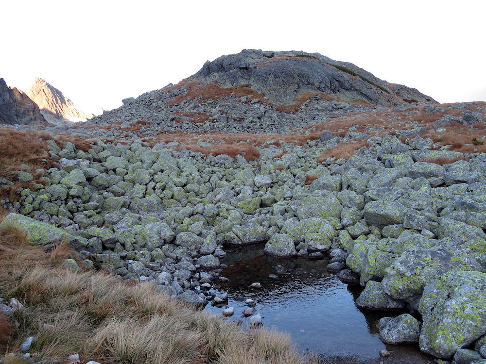 Bezejmenná kopa (2000 m) mezi Sesterským a Starolesnianským plesom.