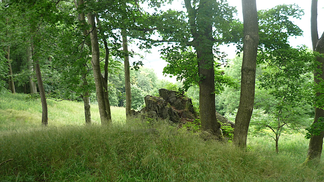 Skalka poblíž nedalekého Kamenného vrchu (670 m).