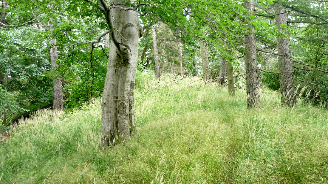Kamenný vrch.