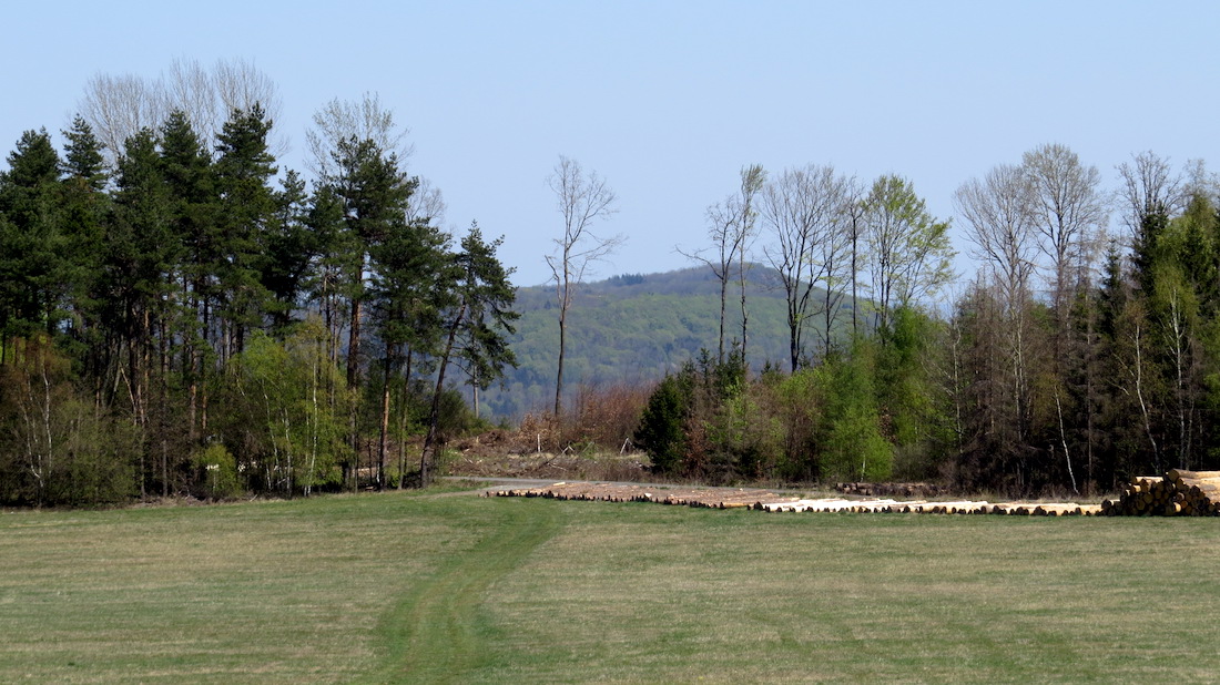Pohled od Pohorska někam k vrchu Kozel (598 m).