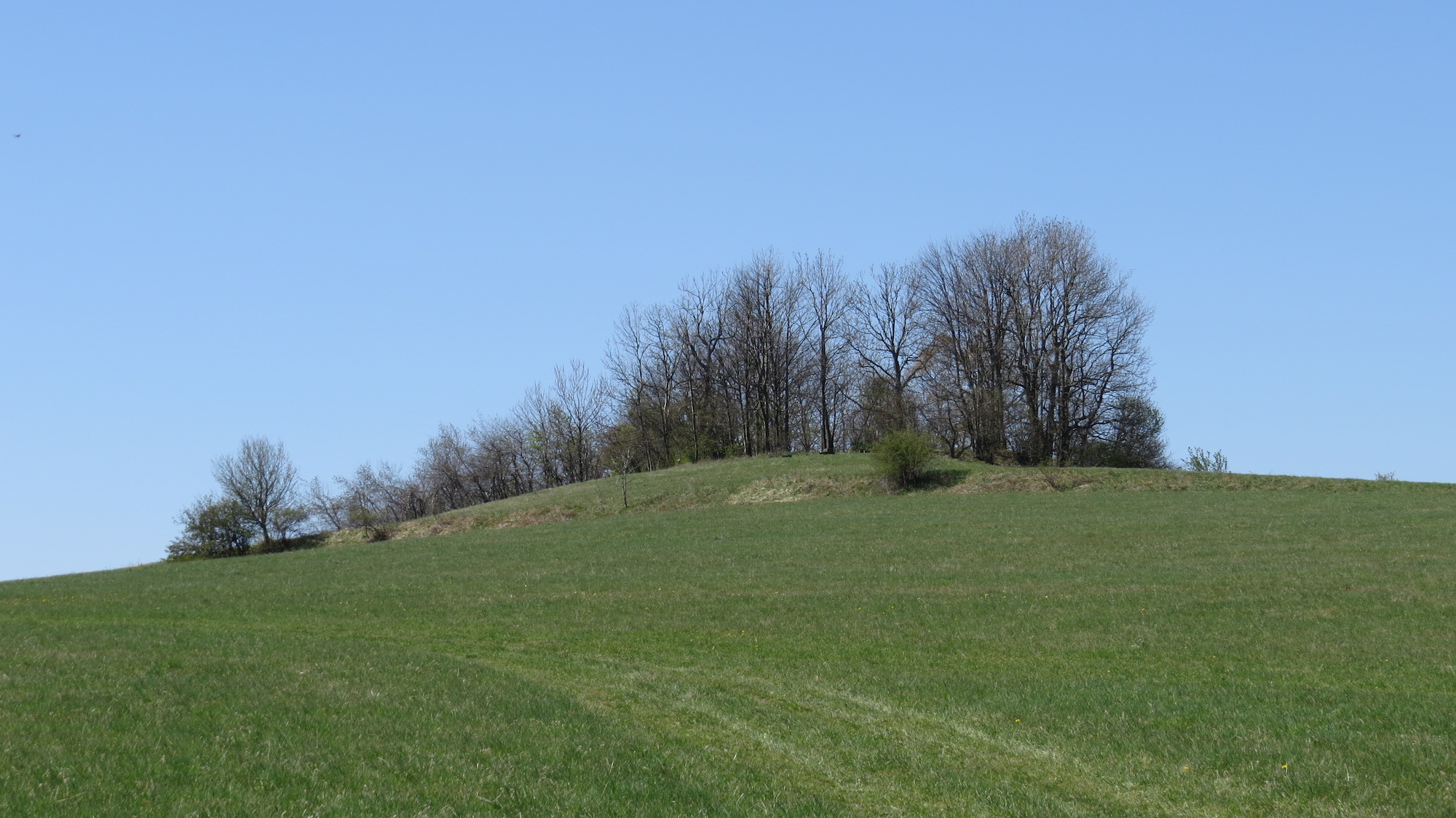 Pohorský vrch (601 m).