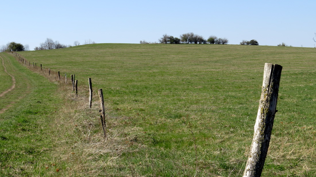 Přede mnou je vrch Matrelík (668 m). 