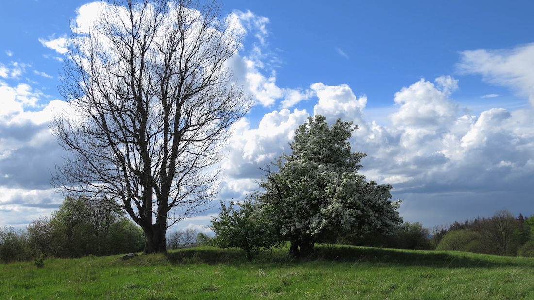 Přívětivý Havraní vrch (586 m) nad Velkou Javorskou.