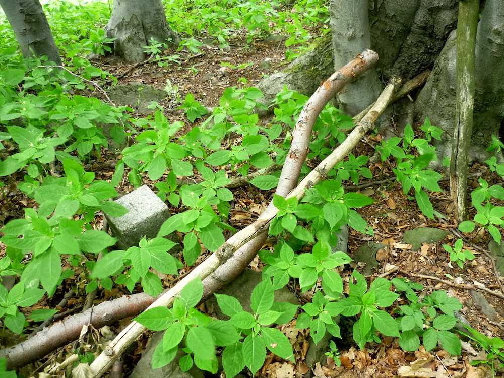 První geodetický patník... ale k vrcholu ještě daleko. 