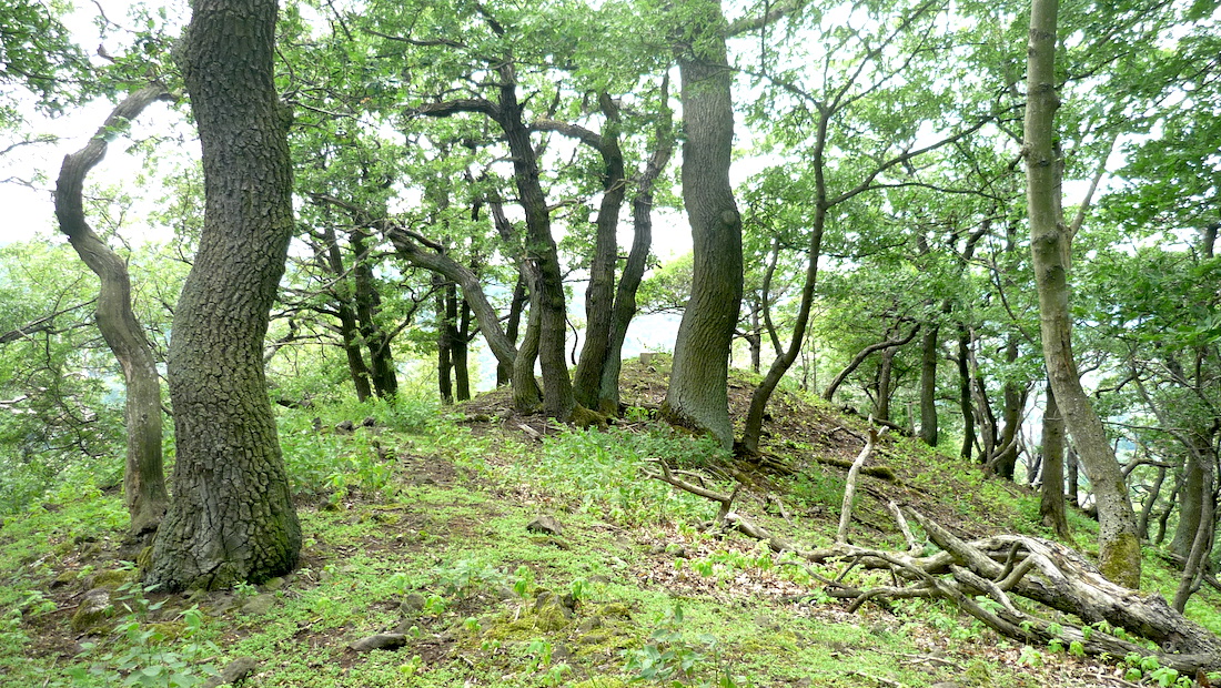 Západní vyhlídka, na mapě značená výškou 656 m.
