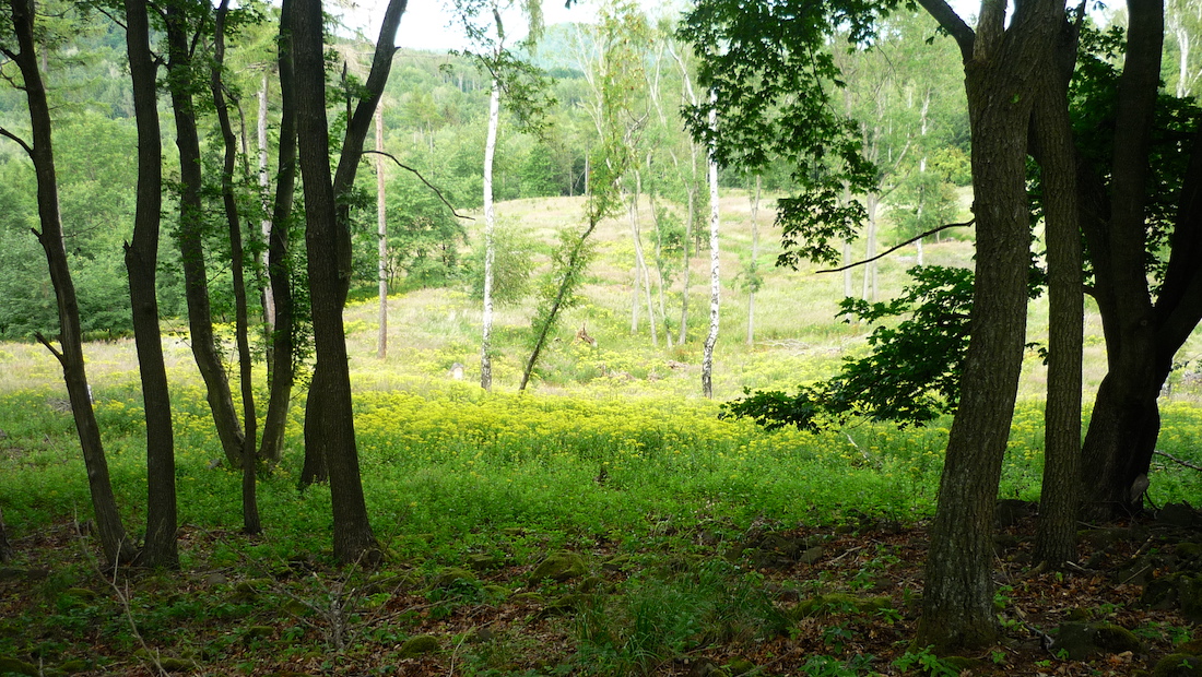 Pod Setenkou.