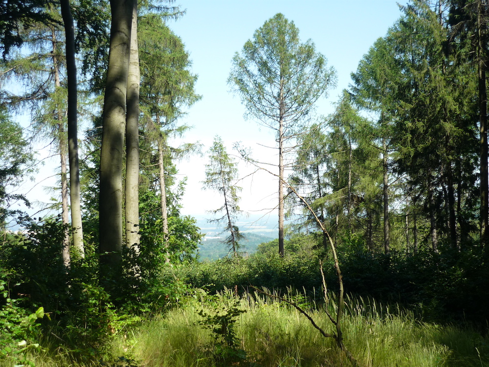 Na vrcholu Králova vrchu (536 m).