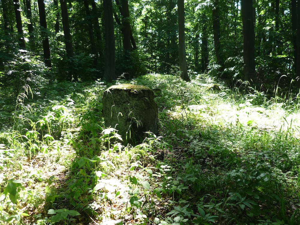 Nejspíš pravý vrchol na zarostlém hřebínku Modrého vrchu (526 m).