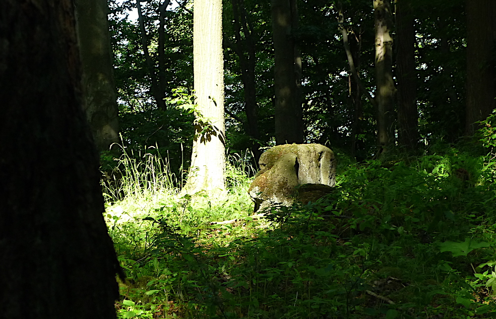 Osamělý, nenavštěvovaný Modrý vrch.