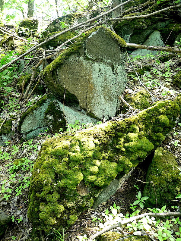 Sestup z Obra nad Výrovkou, přes kamení cestou necestou.