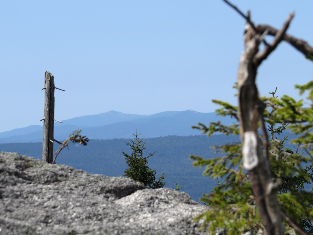 Na obzoru Grosse Rachel (1453 m) a Lusen 1373 m).