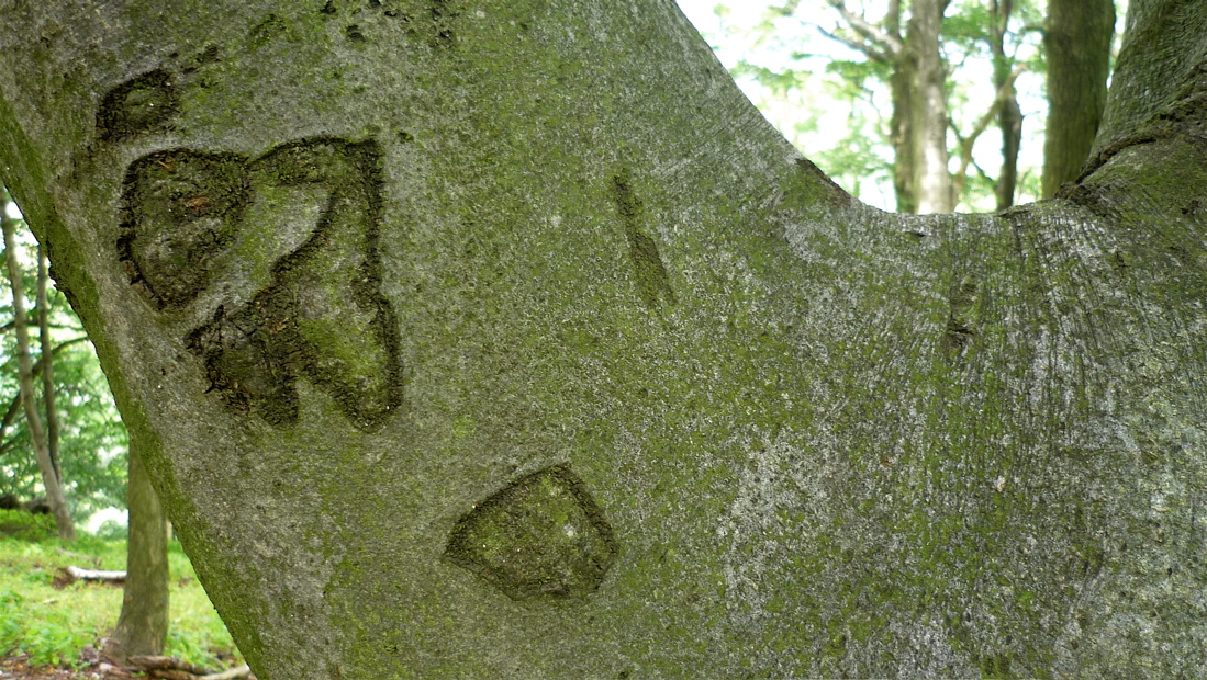 slo24
