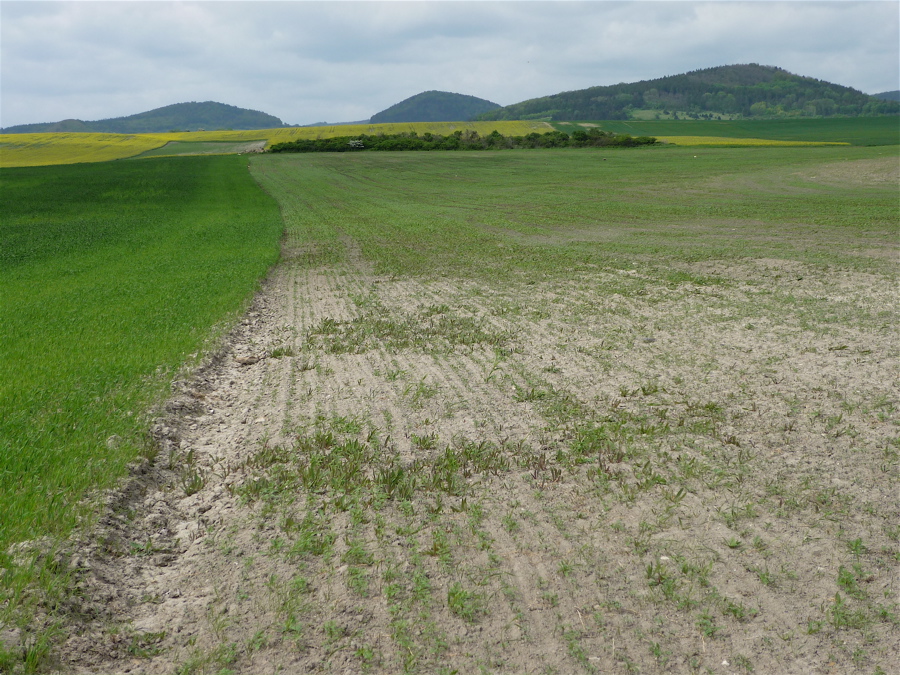 To by mohlo být Hradišťko, Líska a Křížový vrch (450 m)