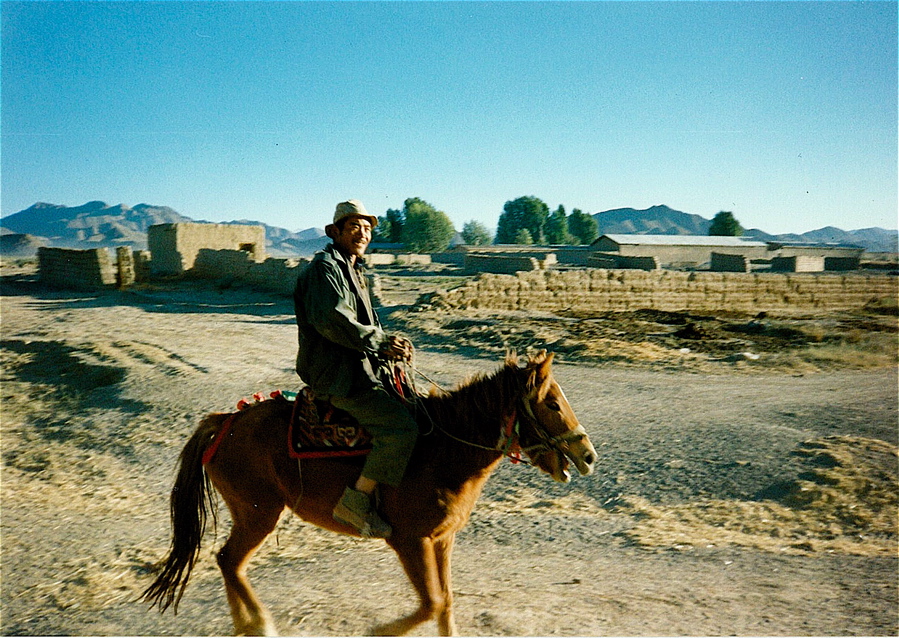 Ráno kousek za Shigatse: svobodný tibetský kovboj.