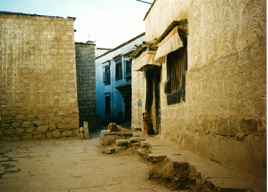 LAS1