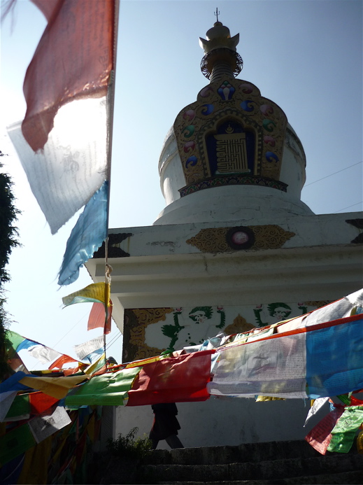 pao14