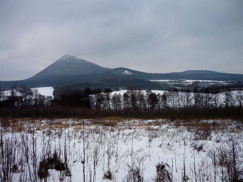 Podél velemínské silnice. Milešovka (836 m).