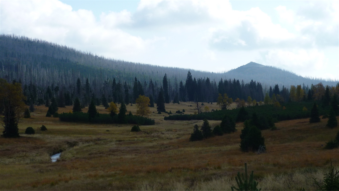 Luzný (1373 m) od Březníku, přes Březovou slať