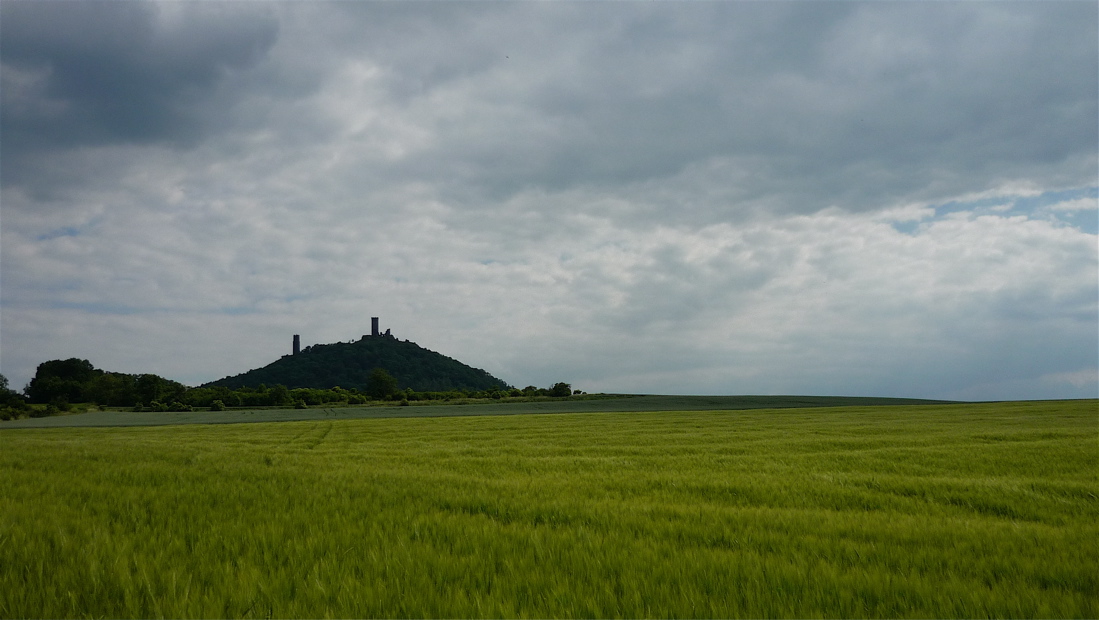hak21