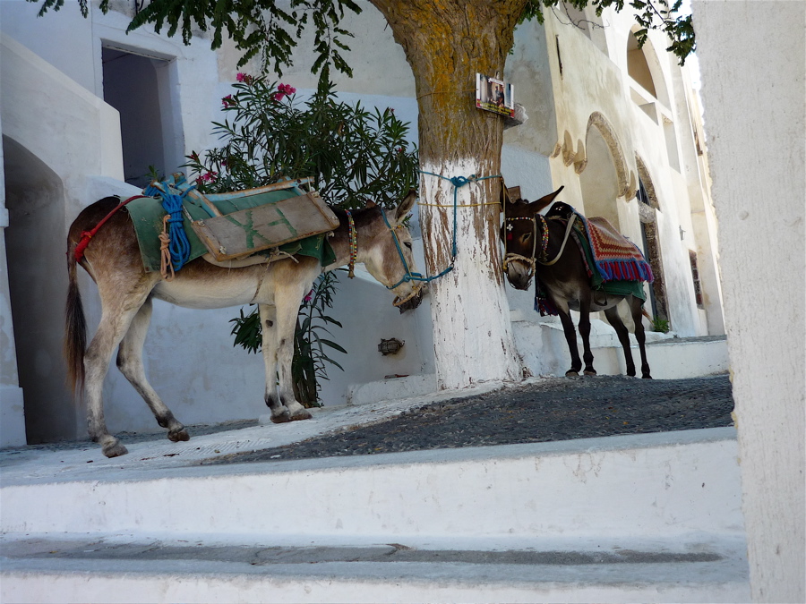 pyrgos