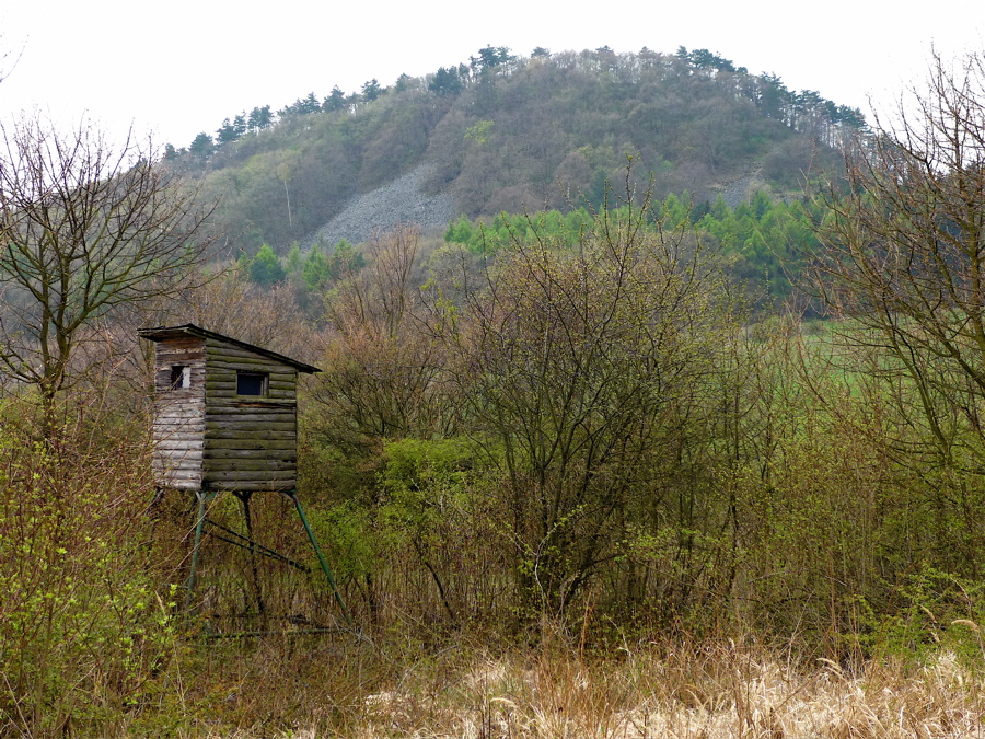 Blešenský vrch (520 m)